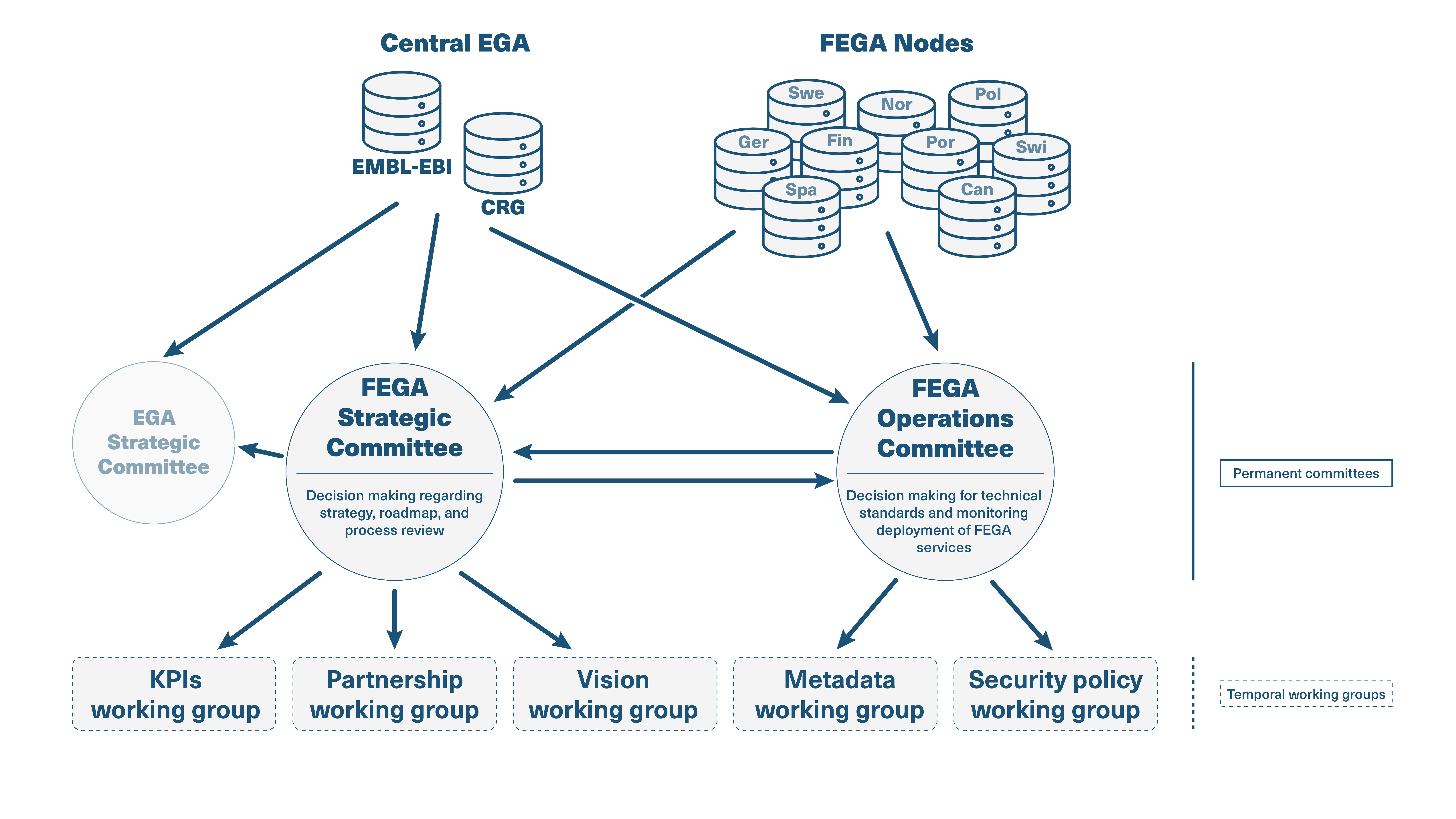 Colored diagram describing the roles of the Federated EGA committees and example working groups, and how these groups communicate with each other and with the EGA Strategic Committee.