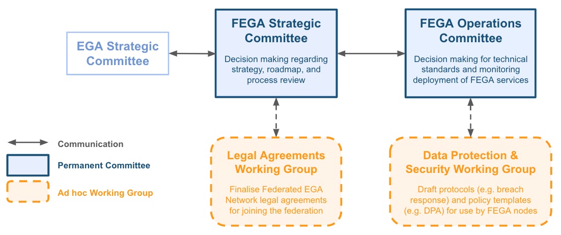 Colored diagram describing the roles of the Federated EGA committees and example working groups, and how these groups communicate with each other and with the EGA Strategic Committee.